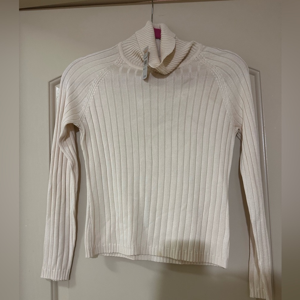 Silk turtleneck petite small